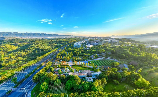 不朽情缘官方网站-app下载|猫咪1.3.0最新下载|明月湖